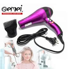 Gemei Professional Hair Dryer Gm-1704 1500W